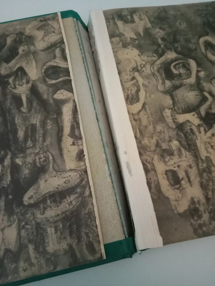 Ann Garrould 📚 Moore Dessins - photo numéro 7