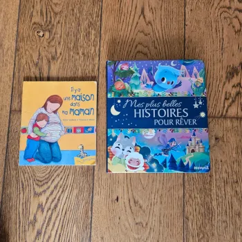 Lot de 2 livres