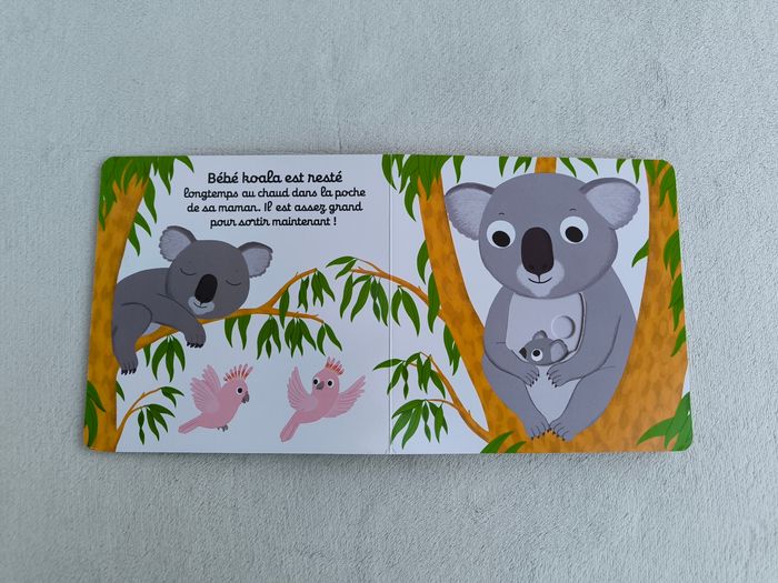 Livre Kididoc Bonne nuit bébé koala Nathan - photo numéro 4