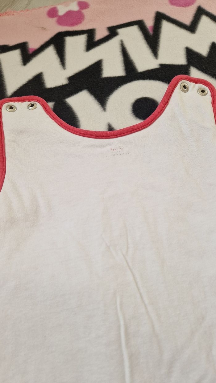 Gigoteuse Chaude Minnie - photo numéro 3