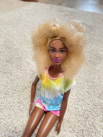 Barbie Fashionistas