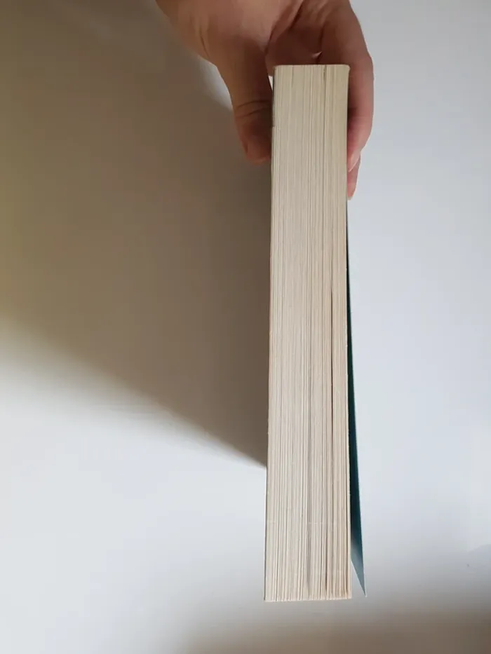 Pierre Bottero (Écrivain)  La Quête d'Ewilan, Tome 1 : D'un monde à l'autre - photo numéro 6