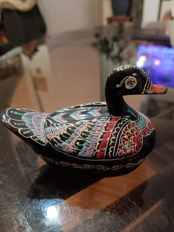 Jolie boîte canard 