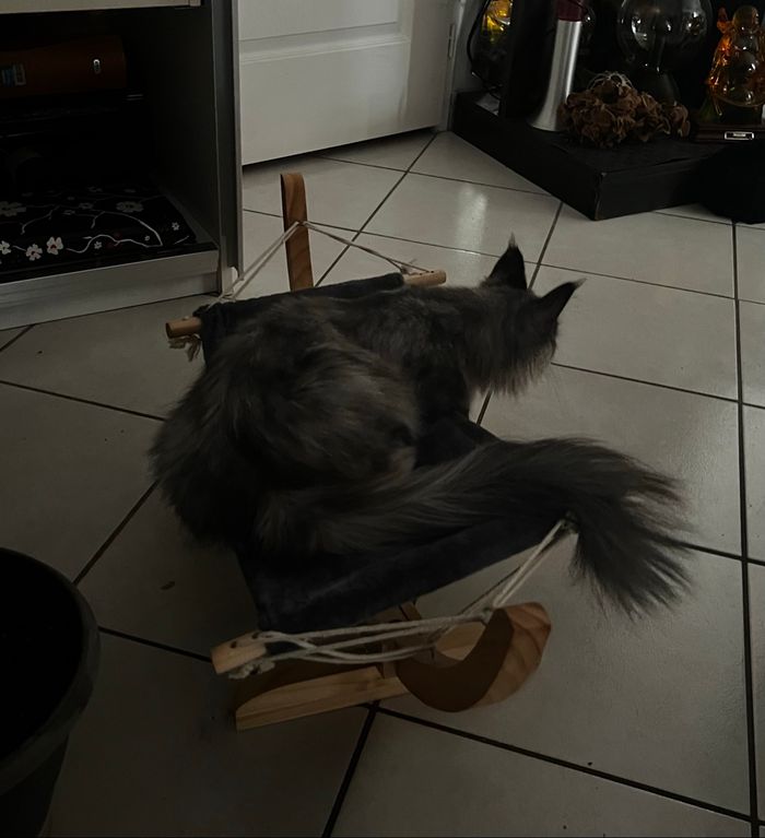 Hamac pour chat - photo numéro 4