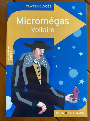 Micromégas