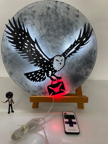 Cadre lumineux LED réalisé sur disque vinyle 33T Hedwige chouette/hibou Harry Potter 