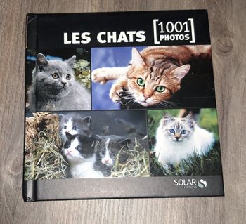 Les Chats 1001 photos