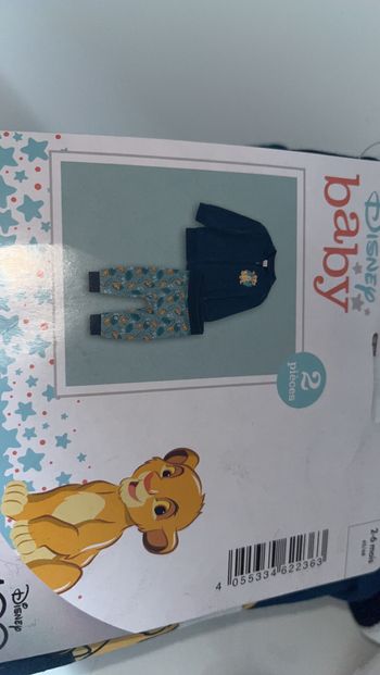 Ensemble Disney simba