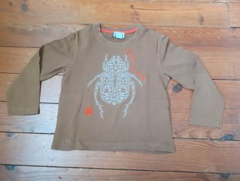 Sweet marron motif scarabées blanc et orange