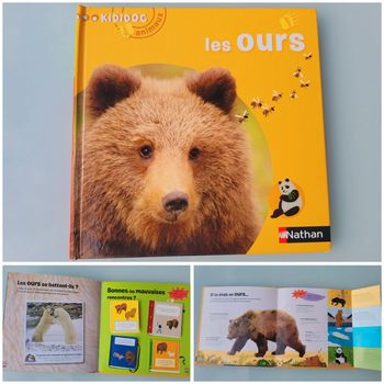Livre animé de flaps, tirettes.. Kididoc : 🐻 Les Ours 🍯 68