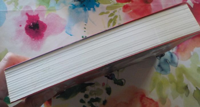 Le chevalier noir et la dame blanche T2 La marque du temple de H. de Queyssac - photo numéro 4