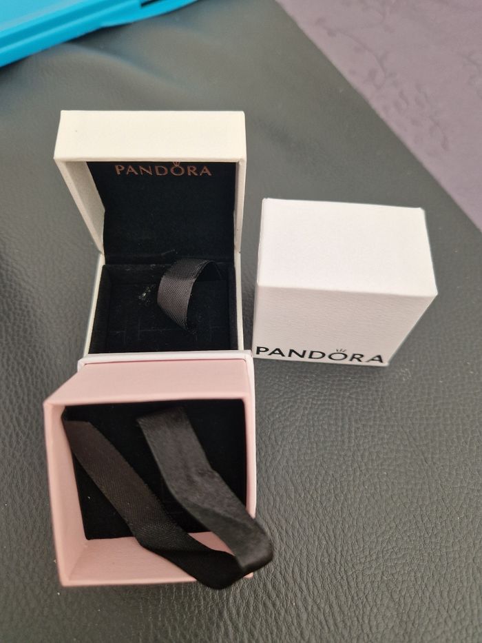 Boite pandora - photo numéro 2