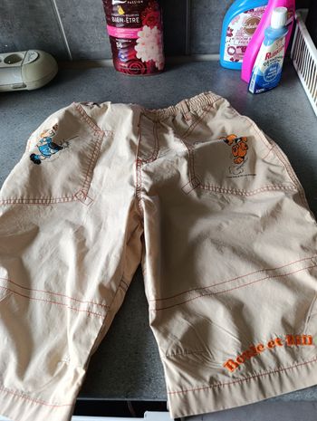 Bermuda 8 ans