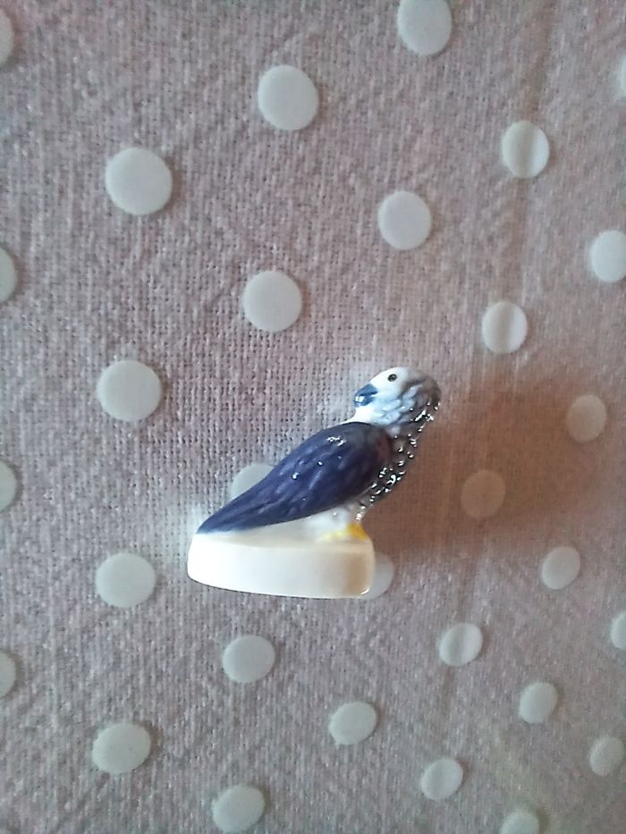 Fève Bahia zoo de Beauval - photo numéro 2