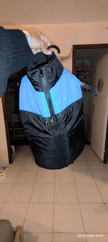 Blouson pour chien