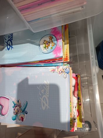 Lot 100 feuilles diddl
