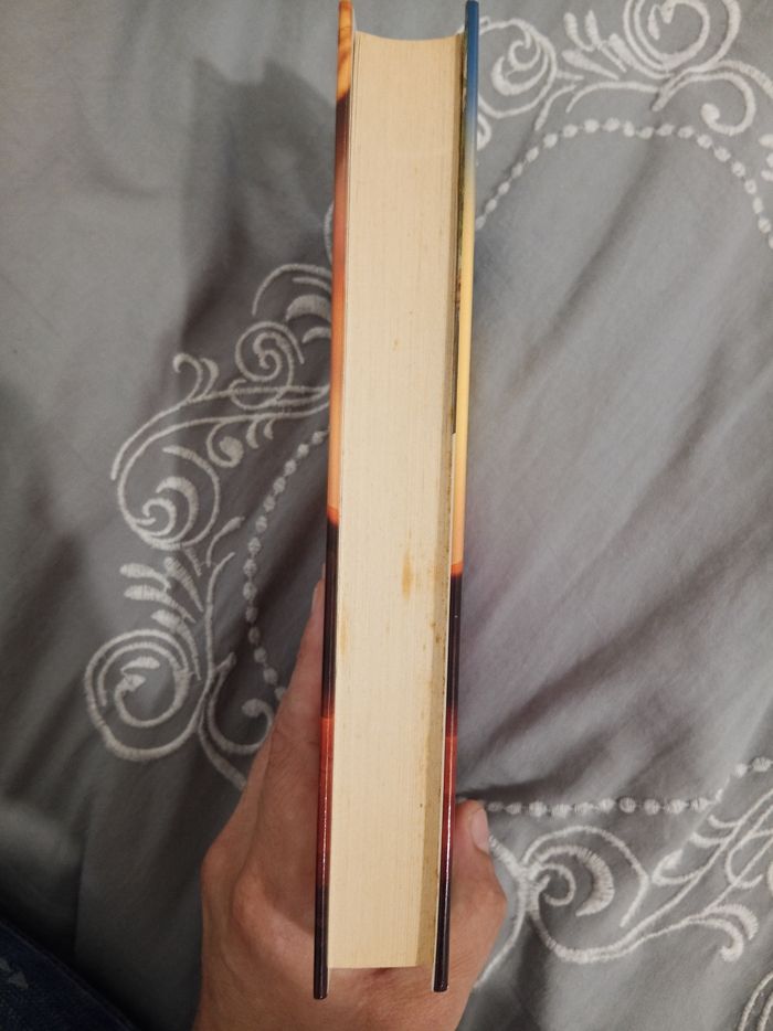 Livre (19) 📚 Le chant de la Dune - photo numéro 4