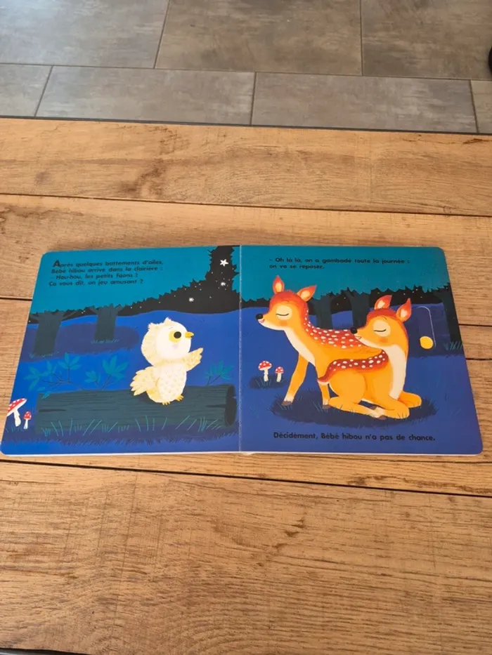 Livre “Au dodo bébé hibou n’a pas sommeil du tout”  Nathan - photo numéro 5