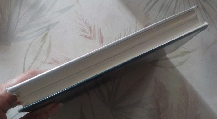 Patrick Roy par Colette et Pierre Boyard ses parents - photo numéro 4