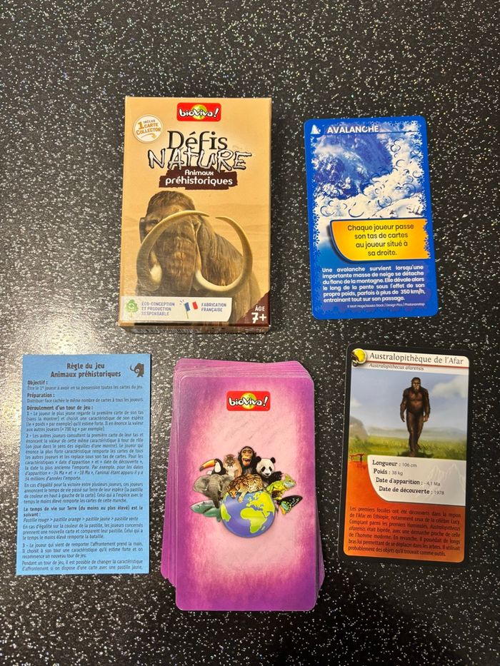 Bioviva - Défis nature - animaux préhistoriques - photo numéro 2