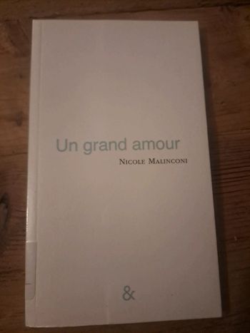 Livre Un Grand Amour, Nicole Malinconi