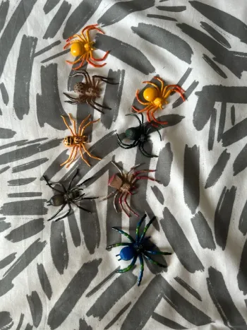 Araignées