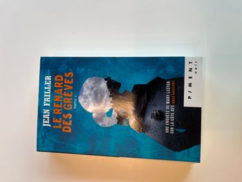 Livre Mary Lester T.22 Le Renard des Grèves (Partie 1)