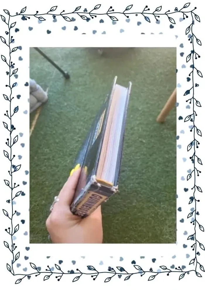 Livre guinness des records 1997 - photo numéro 4