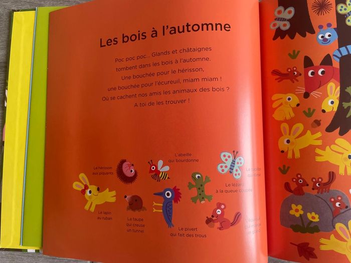 Livre cherche et trouve - photo numéro 3