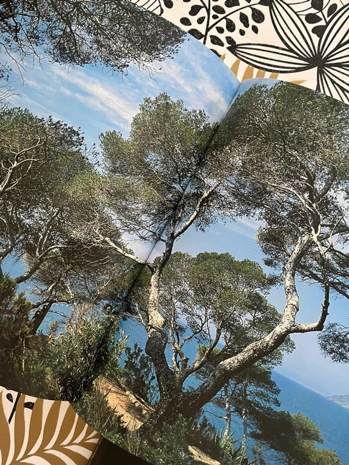 Voyages en France - photo numéro 3