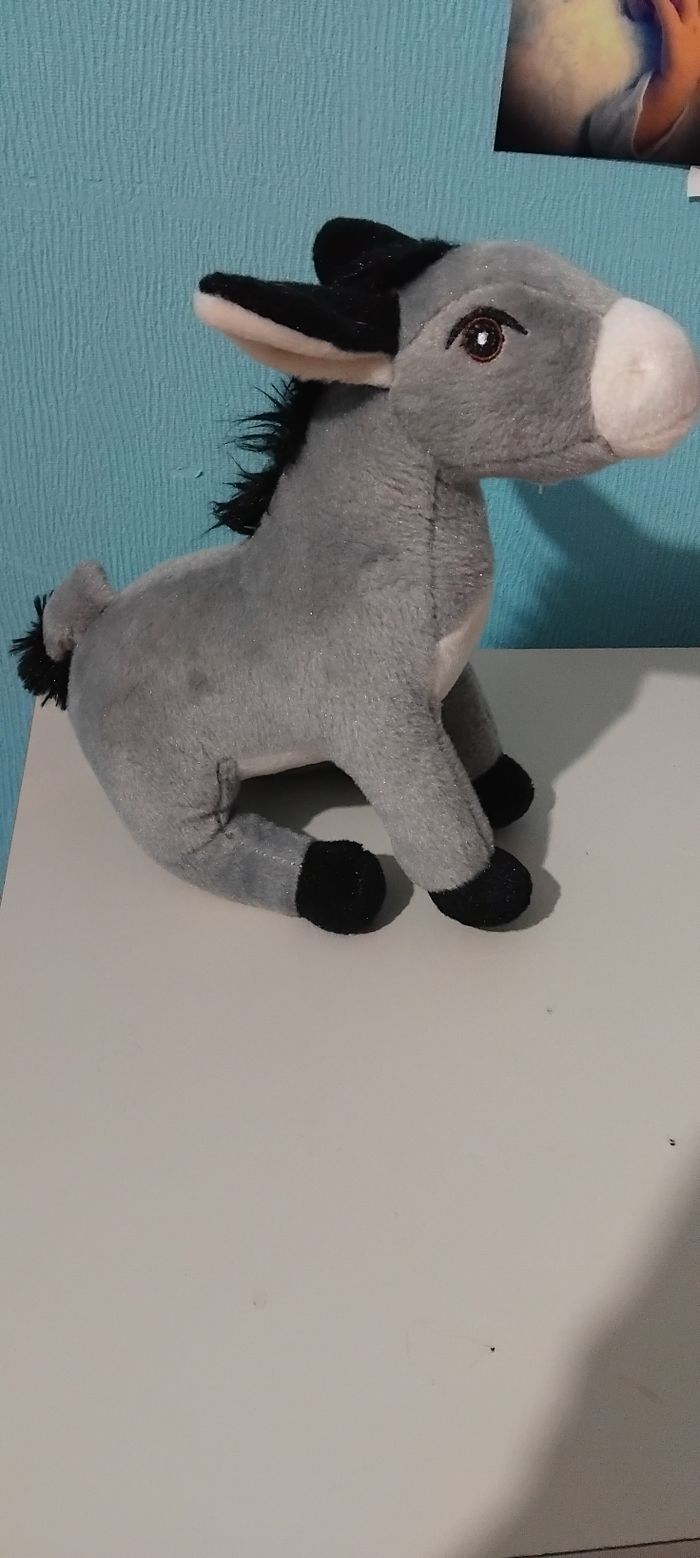 Donne anne peluche a venir chercher sur place - photo numéro 2