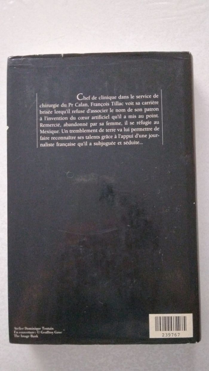 Roman - photo numéro 2