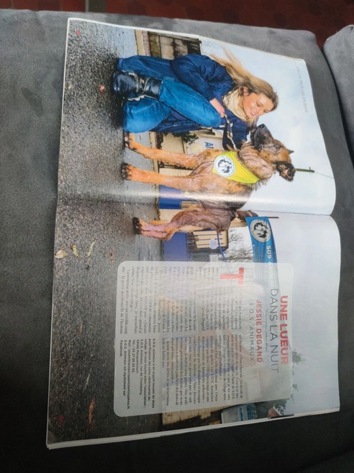 Magazine 30 millions d'amis numéro 393 mars 2021 - photo numéro 11