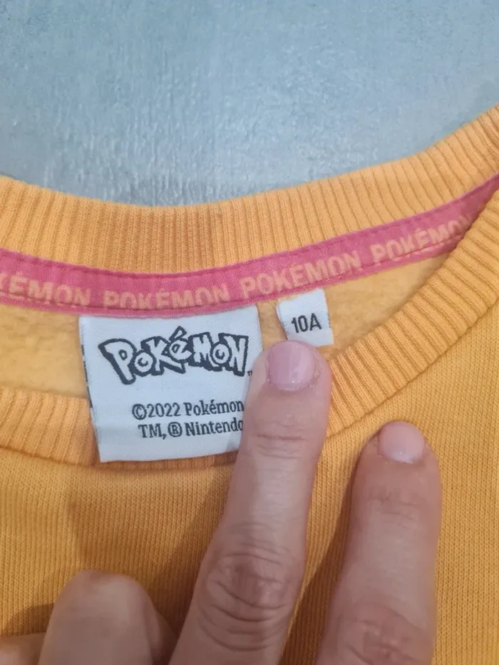Pull pokemon - photo numéro 3