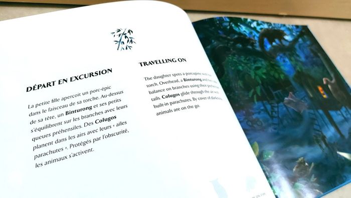 📚 Livre en anglais et français : Merveilles des annamites/ Wonders of the annamites - photo numéro 4