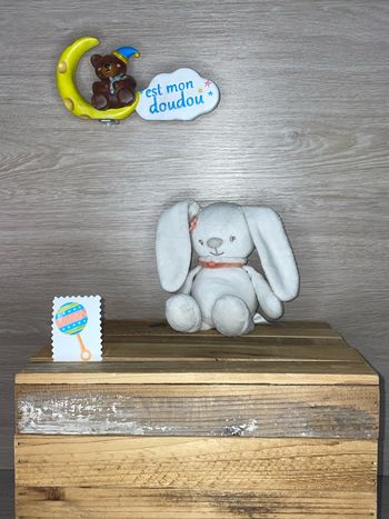 NT209 doudou lapin 🐰 Nattou