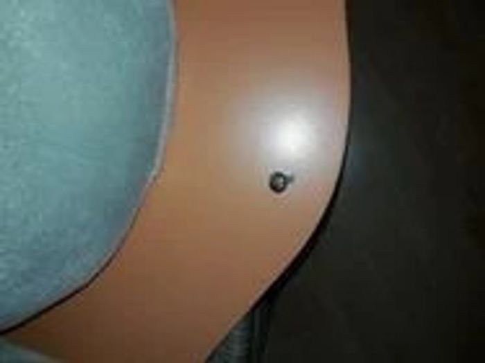 elephant - photo numéro 2