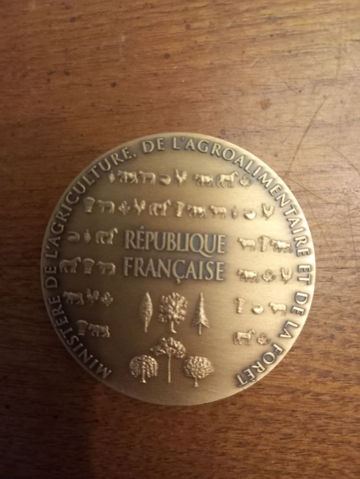 Médaille bronze - photo numéro 3