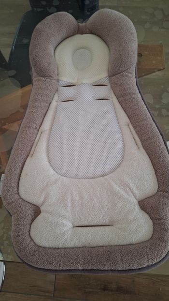 Coussin morphologique