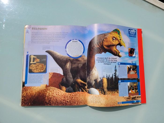 Livre Dokéo+ Réalité Augmentée : Les Dinosaures en action (43) - photo numéro 8