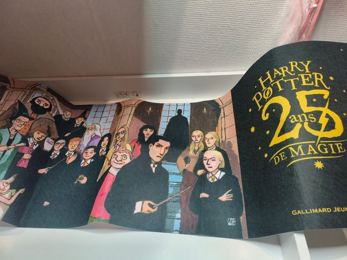 Affiche fronton intissé Harry Potter 25 ans