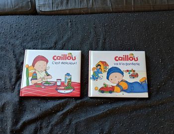 Lot de 2 livres caillou
