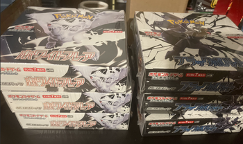 Display Pokémon - Black Bolt & White Flare