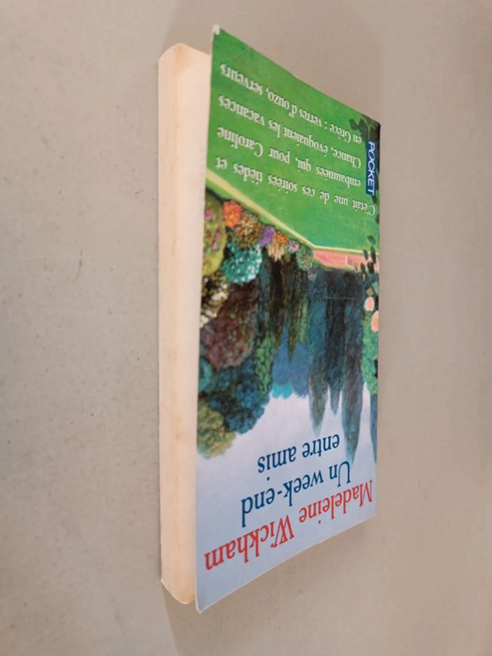 Un weekend entre amis Madeleine Wickham - photo numéro 4