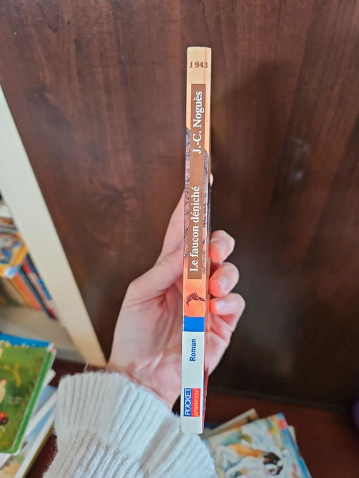 Le faucon déniché - photo numéro 3