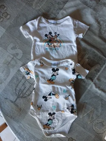 Lot de 2 bodies manches courtes