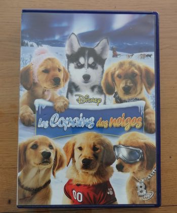 DVD les copains des neiges