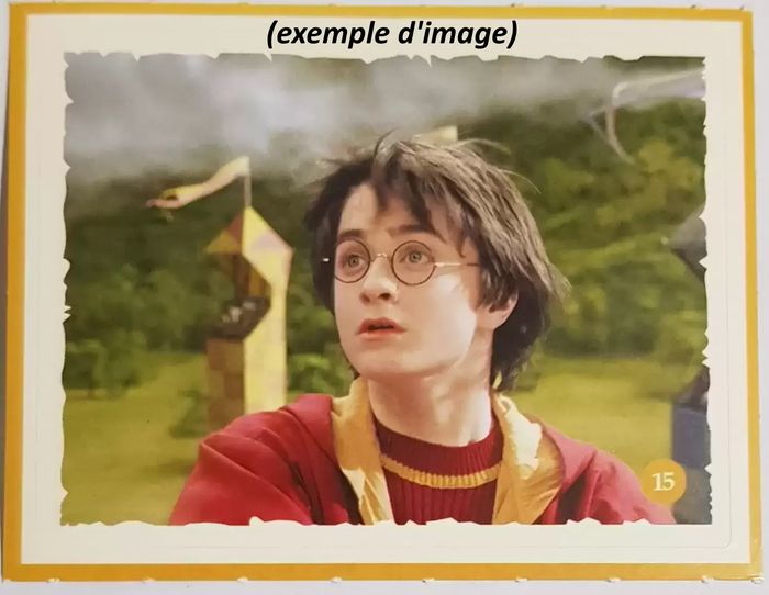 HARRY POTTER 32 Pochettes (SCELLÉES) - La Magie de l'Amitié - Super U - photo numéro 3