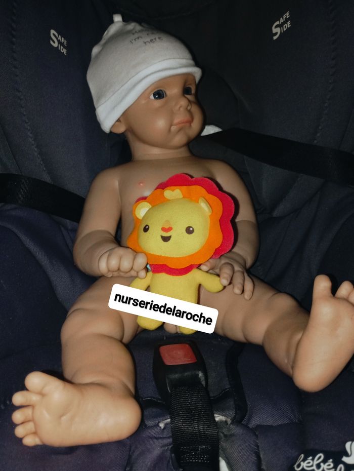 Bébé Reborn Silicone - photo numéro 3