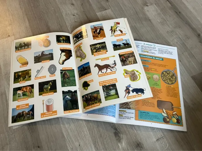 2 livrets « Les chevaux » - photo numéro 3